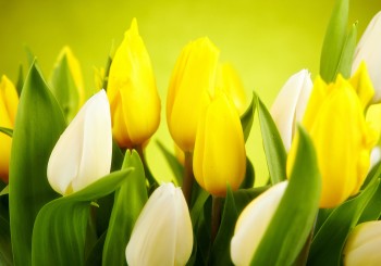 28 марта в 14.00 приглашаем на поэтический вечер Жанны Зудрагс (6+)